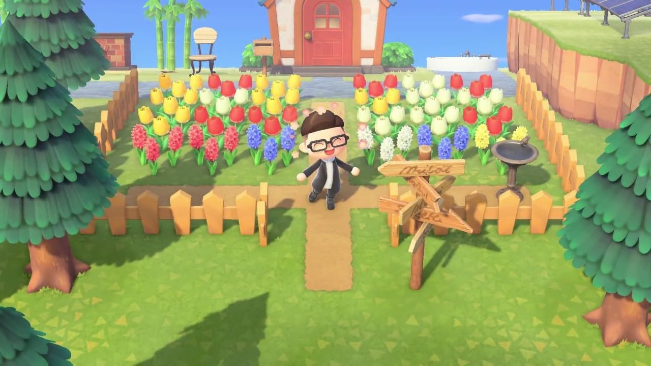 Animal Crossing: New Horizons - Nintendo Switch 2 (Physical Game Card)